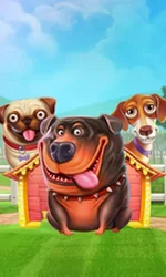 The Dog House